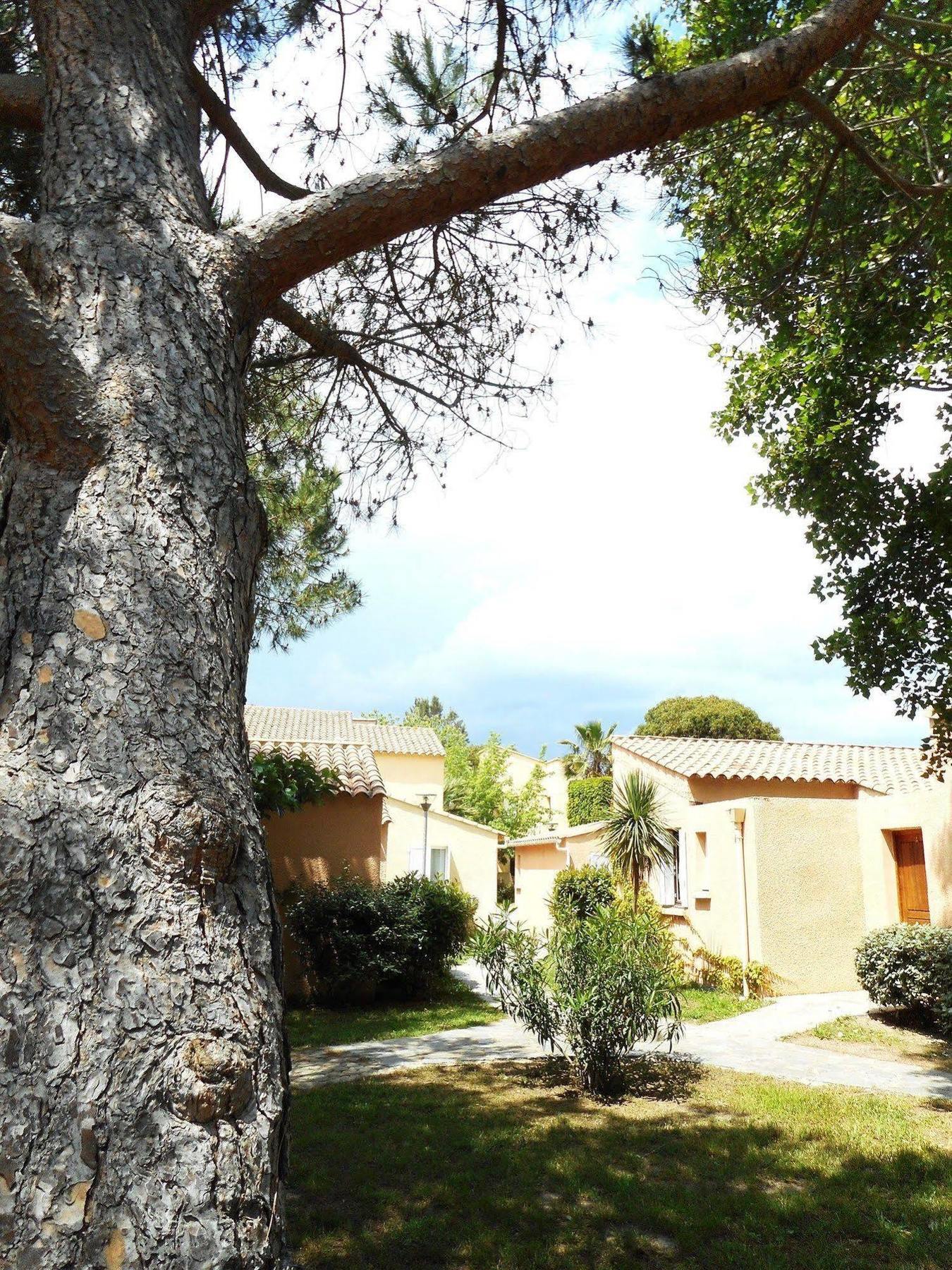 Marina Doru Villa Ghisonaccia Esterno foto