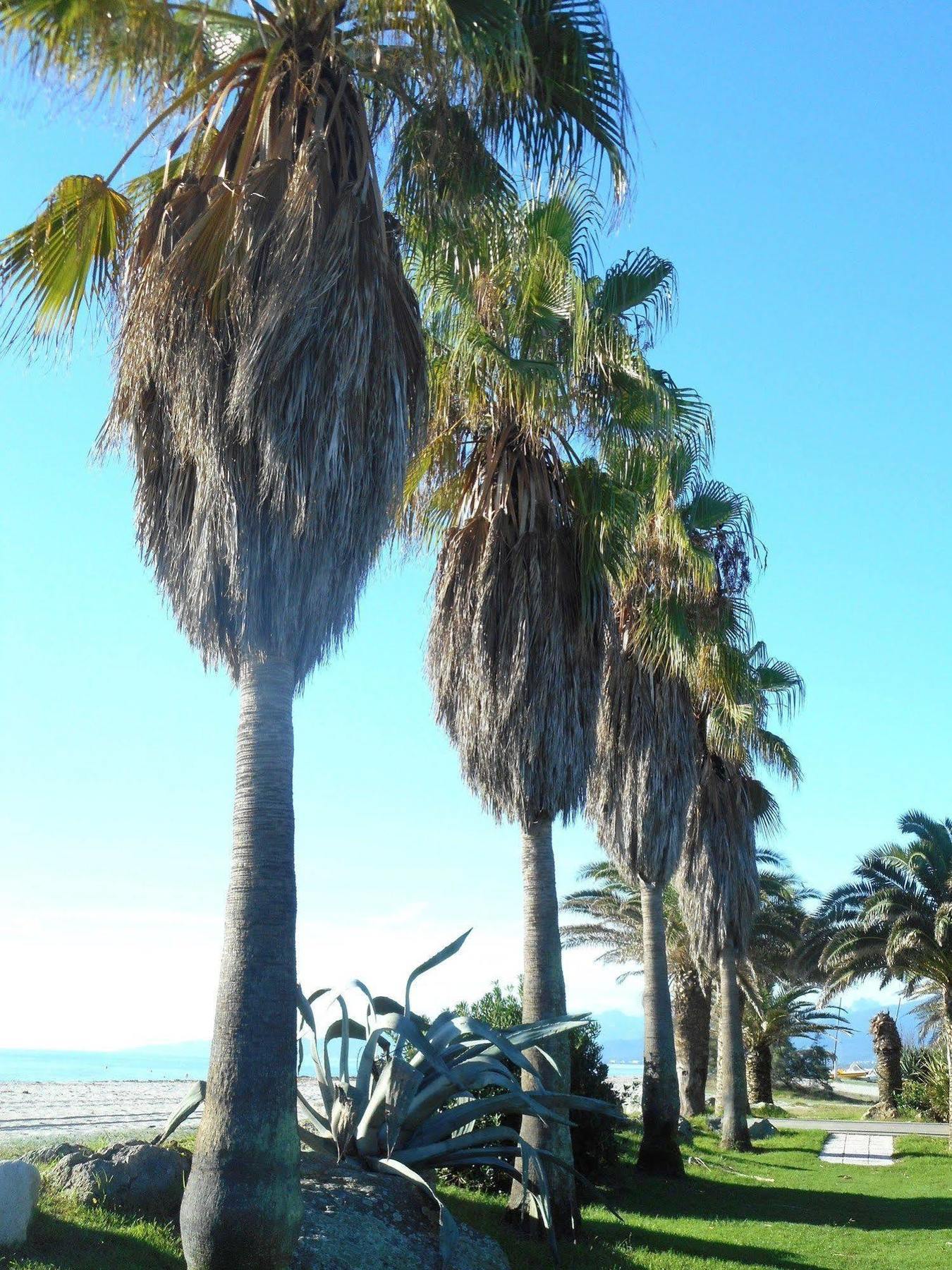 Marina Doru Villa Ghisonaccia Esterno foto